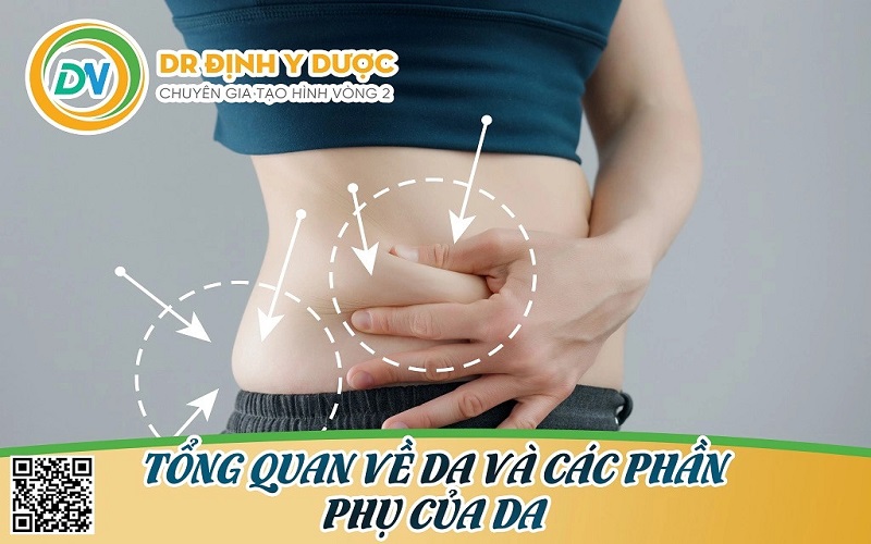 tổng qua về da và các phần phụ của da