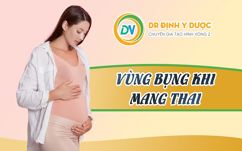 cấu tạo bụng