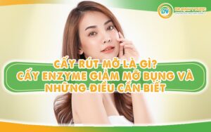Cấy Rút Mỡ, Enzyme Giảm Mỡ Bụng