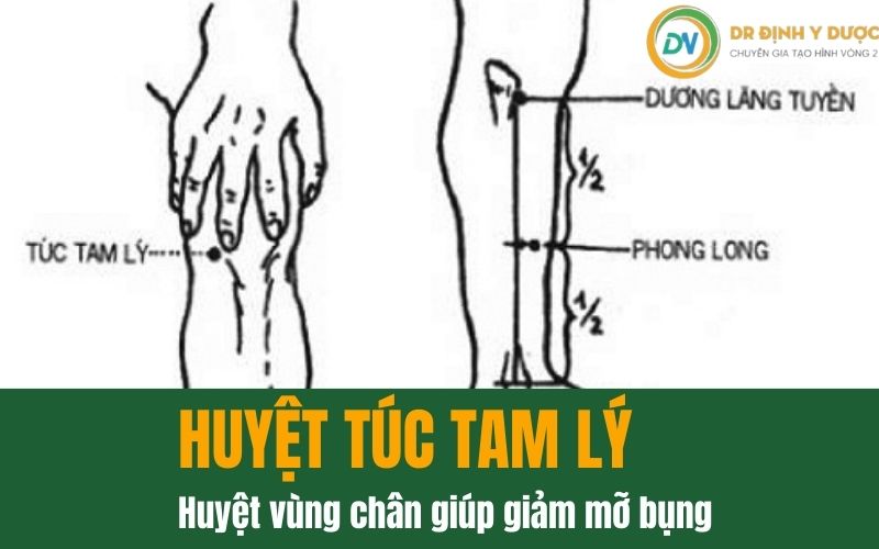 bấm huyệt chân giảm mỡ bụng