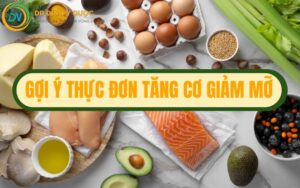 Nên Ăn Gì Và Kiêng Gì Để Tăng Cơ Giảm Mỡ Và Gợi Ý 4 Thực Đơn Giúp Tăng Cơ Giảm Mỡ Hiệu Quả