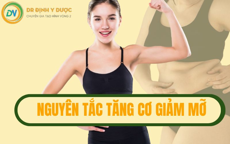 nguyên tắc tăng cơ giảm mỡ