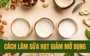 Hướng Dẫn 5 Cách Làm Sữa Hạt Và Những Lưu Ý Khi Sử Dụng Sữa Hạt Giảm Mỡ Bụng Giúp Hiệu Quả