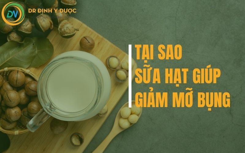 tại sao sữa hạt giảm mỡ bụng