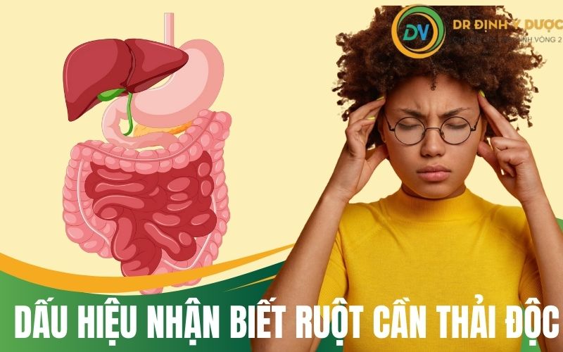 dấu hiệu nhận biết cần thải độc ruột