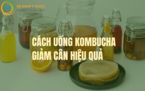 cách uống kombucha giảm cân