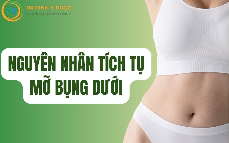 nguyên nhân tích tụ mỡ bụng dưới