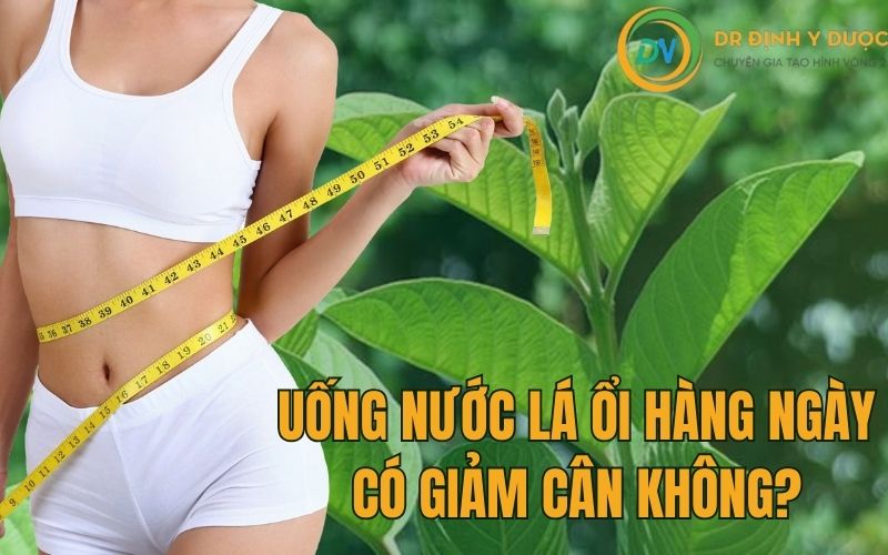 Uống nước lá ổi hàng ngày có giảm cân không