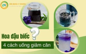 Hướng Dẫn 4 Cách Uống Hoa Đậu Biếc Giảm Cân - Lưu Ý Khi Dùng Hoa Đậu Biếc Giảm Cân