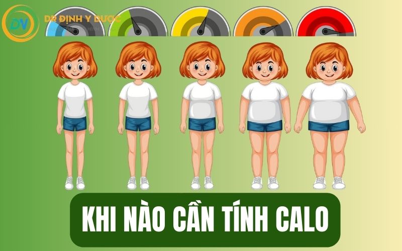 khi nào cần tính calo