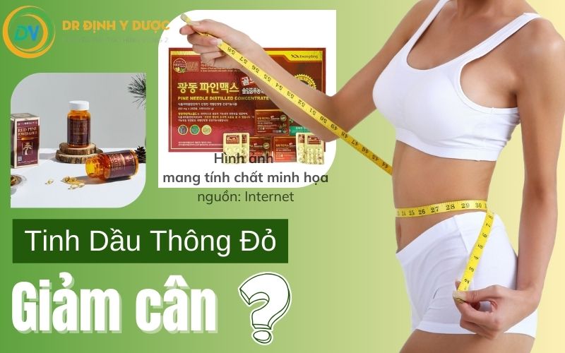 uống tinh dầu thông đỏ có giảm cân không