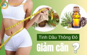 Uống Tinh Dầu Thông Đỏ Có Giảm Cân Không? Một Số Công Dụng Của Tinh Dầu Thông Đỏ