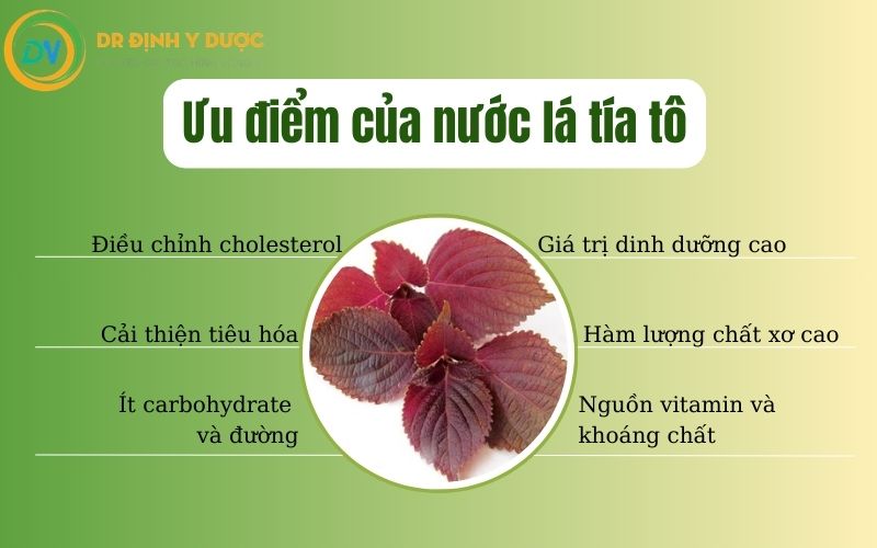 lợi ích của nước lá tía tô