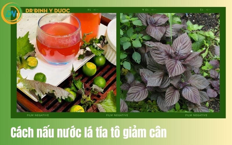 cách nấu nước lá tía tô giảm cân