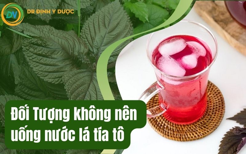 đối tượng không nên uống lá tía tô giảm cân