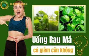 Gợi Ý 3 Công Thức Nước Rau Má Giúp Giảm Cân Hiệu Quả Đơn Giản Tại Nhà