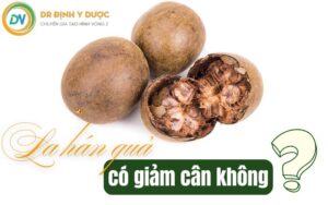Uống Quả La Hán Có Giảm Cân Không? Lợi Ích Của Quả La Hán