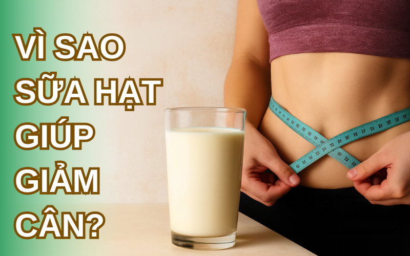 Vì sao sữa hạt giúp giảm cân?