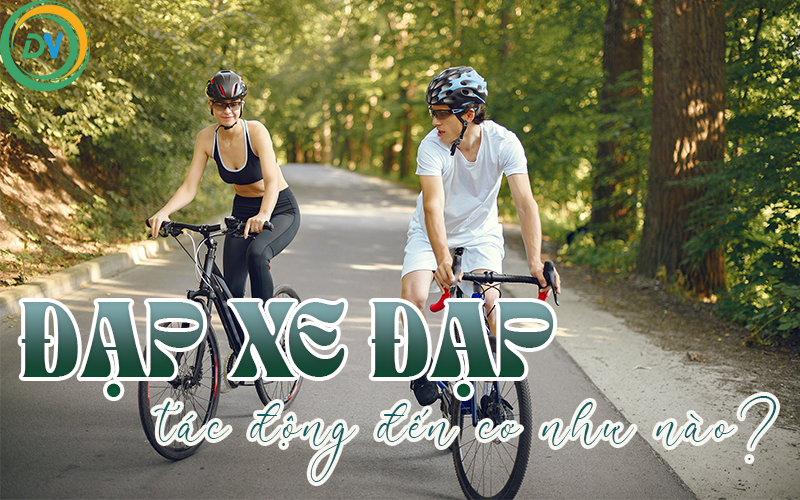đạp xe đạp tác động đến cơ