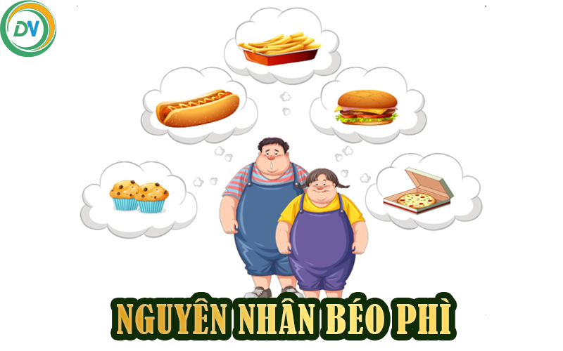 nguyên nhân béo phì