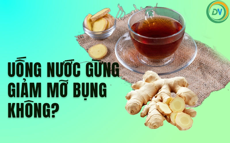 Uống Nước Gừng Giảm Mỡ Bụng Không? Ai Nên Và Không Nên Sử Dụng Nước Gừng Giảm Mỡ Uống nước gừng giảm mỡ bụng theo cơ chế nào?