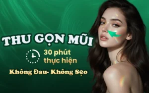 thu nhỏ cánh mũi giá bao nhiêu
