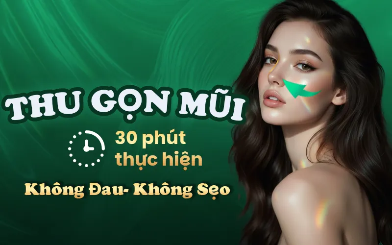 thu nhỏ cánh mũi giá bao nhiêu
