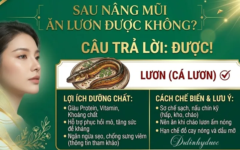 nâng mũi ăn lươn được không